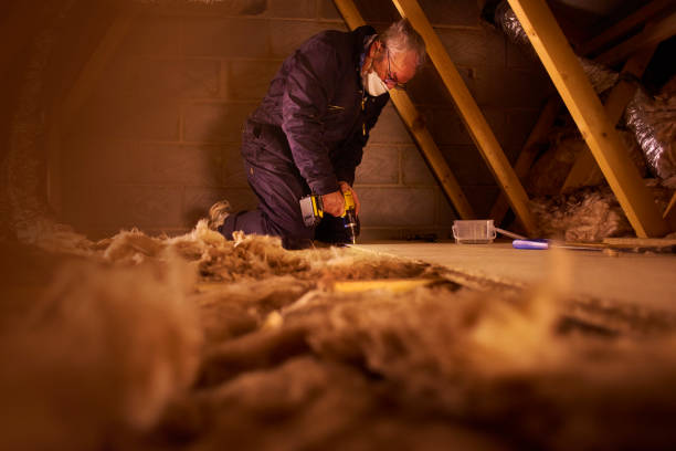 Best Insulation for Existing Homes  in Glenn Dale, MD